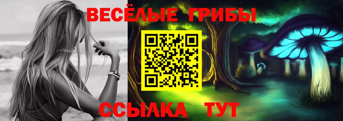 Ипатово  Псилоцибиновые грибы ЛСД  Вход с VPN  Псилоцибиновые грибы Psilocybine cubensis 