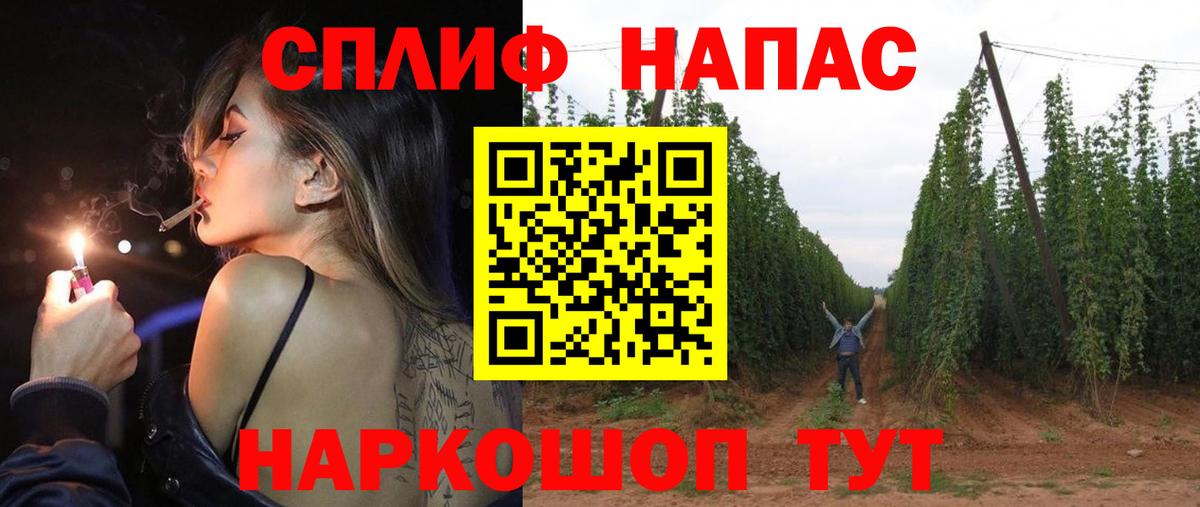 Конопля план Ипатово